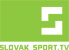 Slovak sport